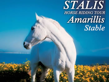 Reiten auf Kreta: Ausritt und Reittour